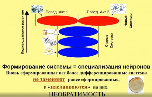 3. Способы воспитательного воздействия на человека - Бібліотека nashsad48.ru